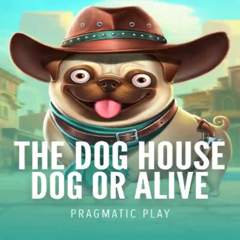 Dog House Dog & Alive en jugabetmx